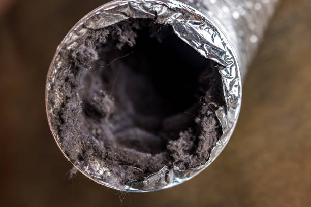 Best Home Air Vent Cleaning  in South Duxbury, MA